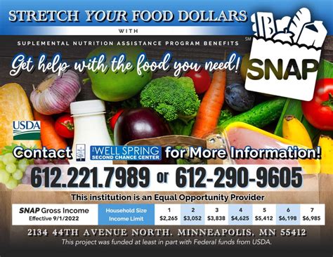 snap benefits houston|Supplemental Nutrition Assistance Program (SNAP